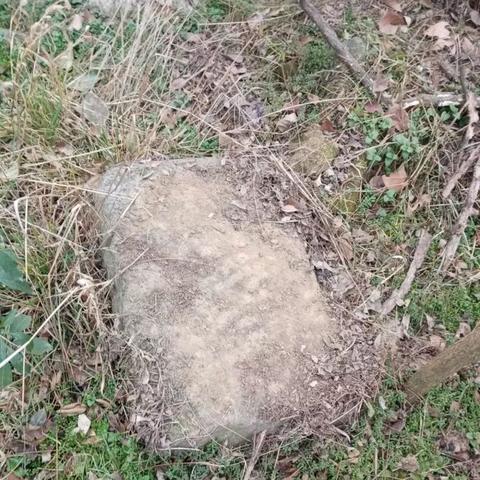 《华夏千秋见闻录零氪攻略：轻松获取，畅玩无忧》