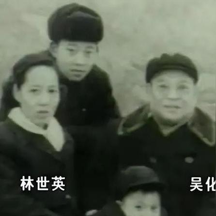 《小兵大作战新服战力飞跃：7日攻略秘籍》