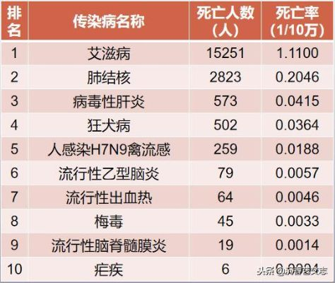 十大疫病爆发模拟游戏盘点：最佳疫病模拟游戏推荐