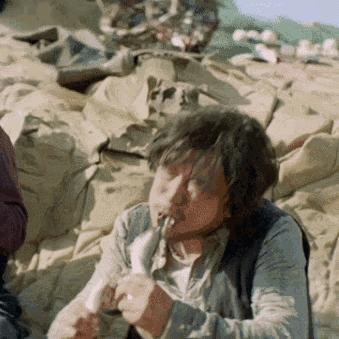 荒岛求生新手必看：生存技巧全解析