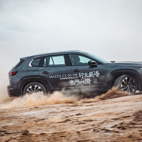 《探索巅峰！2023牌组构建式Rogue游戏排行推荐》