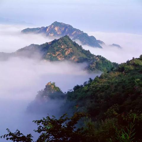 江湖悠悠禁地攻略：深度解析通关秘籍