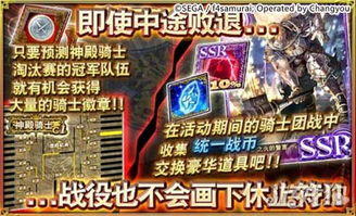 《苍之骑士团2宝藏守护者攻略：高效通关技巧揭秘》