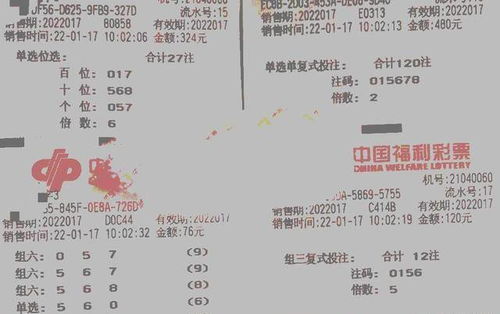 《花亦山心之月识彩学画攻略：第一课答案速查》