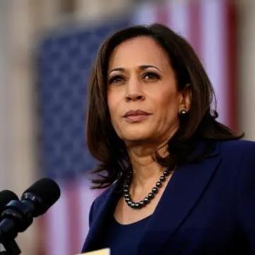 2024年度惊悚游戏排行：盘点最刺激的突发惊吓佳作