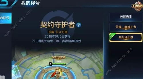 永恒岛称号攻略：解锁隐藏效果全揭秘