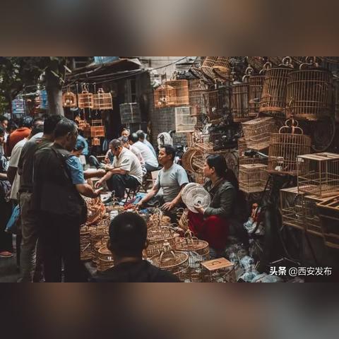 《悠久之树水队回响搭配攻略：最强阵容揭秘》