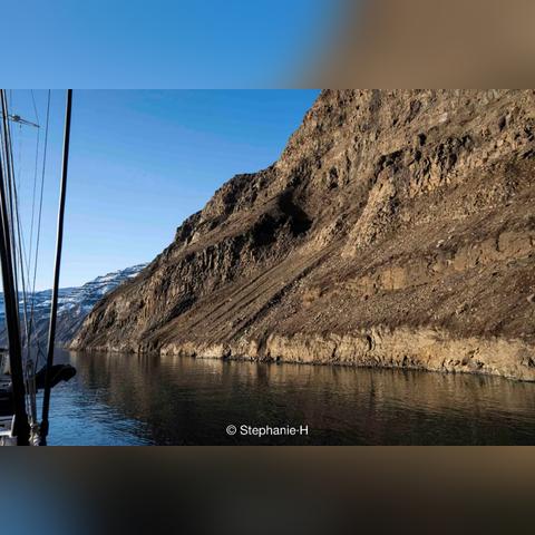 《悠久之树水队回响搭配攻略：最强阵容揭秘》