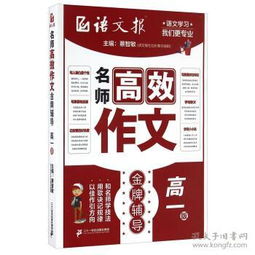 四海兄弟故乡第纳尔攻略：高效使用指南