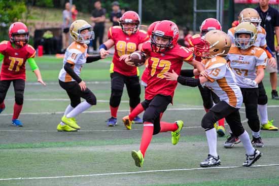 《十大耐玩美式橄榄球游戏盘点：不容错过的经典之作》