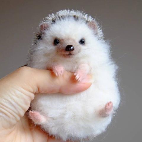 《霓虹深渊天赋树快速升级攻略：解锁无限潜力》