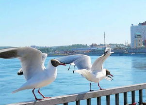 《肉鸽新秀！科隆展MOBA独游引关注》