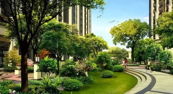 《大房东社区花园建造攻略：打造你的梦幻花园》