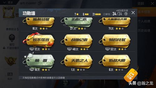 《和平精英兑换码攻略：轻松解锁礼包码大全》