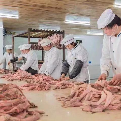 《工艺游戏盘点：最新精选，不容错过的游戏盛宴》