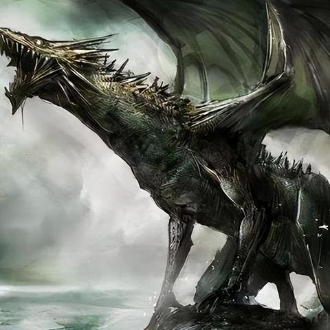 金铲铲之战幽影龙阵容攻略：高效上分技巧揭秘