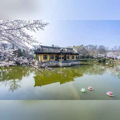 烟雨江湖玉兰花获取攻略：快速上手技巧揭秘