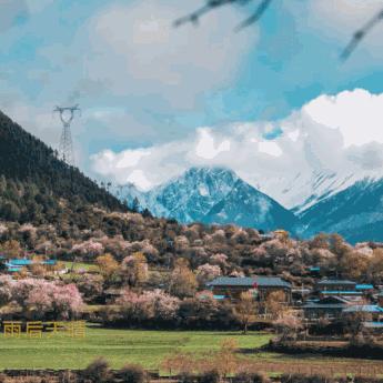 《侠客岛秘境攻略：武林闲侠必看通关技巧》