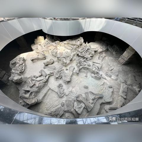 《2023必玩！盘点最新恐龙游戏大集合》
《恐龙迷必看：最新恐龙游戏盘点推荐》
《探索恐龙世界！2023热门恐龙游戏大盘点》
《恐龙游戏爱好者福音：最新游戏盘点揭晓》
《热辣出炉！2023年度恐龙游戏精选盘点》