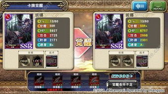 《苍之骑士团2技能升级攻略：高效提升技巧揭秘》