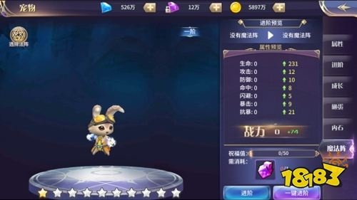 《舞动精灵》宠物养成攻略：解锁最强精灵伴侣！