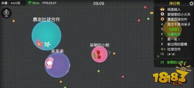 《泡姆泡姆团队战攻略：高效合作技巧揭秘》