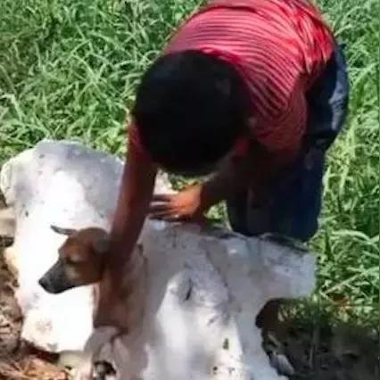 十大热门游戏原声音乐盘点：经典旋律，重温感动瞬间