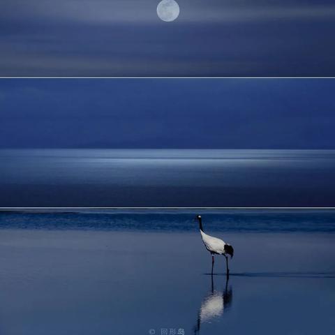 《十大必玩极简游戏，经典下载推荐》