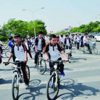 《越野狂飙！盘点热门自行车游戏精选》