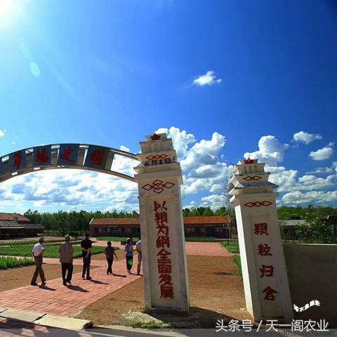 农场管理游戏盘点：热门人气排行，哪款最好玩？