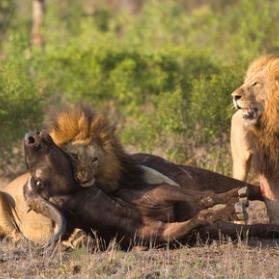 《十大热门舞蹈游戏盘点：揭秘最好玩舞蹈游戏排行》