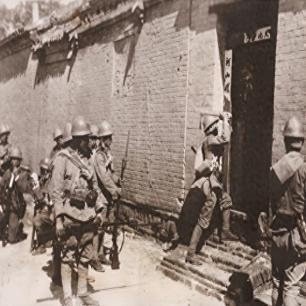 《马背驰骋：揭秘热门马匹游戏排行，哪款是你的菜？》