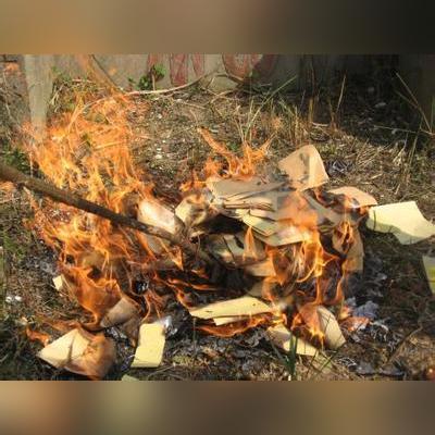 《光遇蝴蝶先祖藏身之谜：揭秘神秘位置》