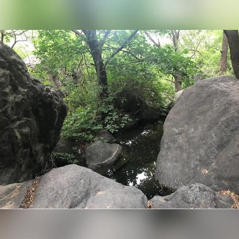 江湖悠悠经脉系统深度解析：独家前瞻攻略揭秘