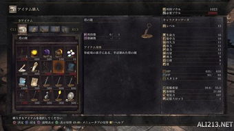 地下城堡3崔格无胡子打法攻略：副本通关秘籍