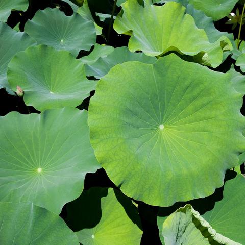 地下城起源疲劳值分配技巧，轻松提升战力！