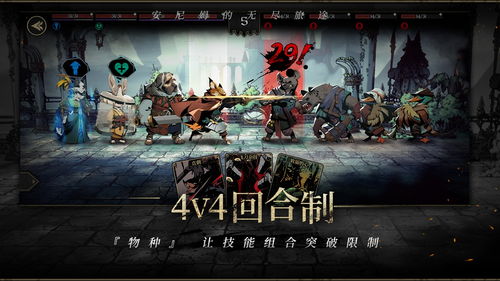 安尼姆之旅：新手必看攻略大全揭秘