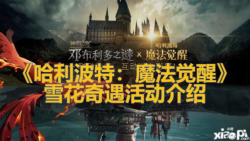 哈利波特魔法觉醒嗅嗅使用技巧揭秘！