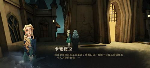 哈利波特觉醒巧克力蛙第二天NPC寻踪攻略