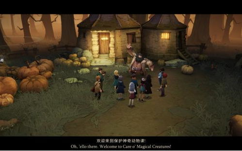 哈利波特觉醒米布米宝藏匿地揭秘