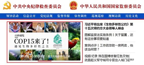 《光遇玉兔礼包价格揭秘！速览最全礼包价目表》