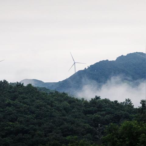 哈利波特觉醒卡牌解析：云雾飘渺强度揭秘