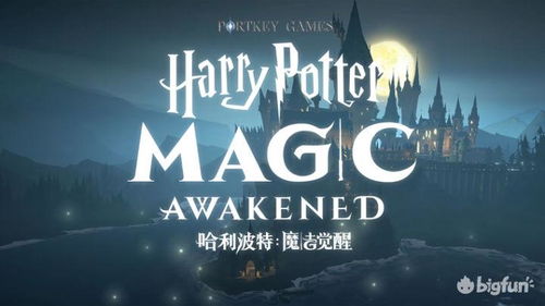 《哈利波特觉醒快速退团指南：轻松退出社团步骤》