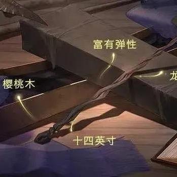 哈利波特觉醒：魔杖随机分配揭秘！