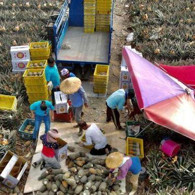 哈利波特觉醒飞行技巧：轻松降落攻略揭秘