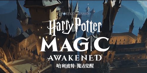 《哈利波特觉醒：高效阅历获取秘籍大公开》