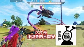 《坎公骑冠剑大师赛攻略：多人竞技挑战技巧揭秘》