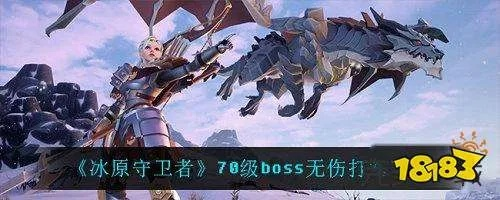 《熔岩之地冰原守卫者BOSS攻略：高效打法揭秘》