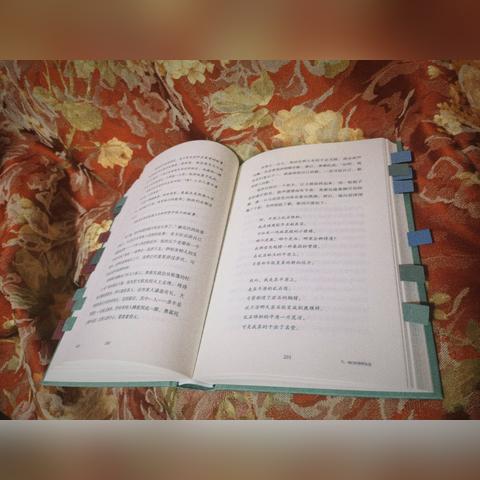 冰原驯鹿雪橇攻略：轻松获取与使用技巧揭秘