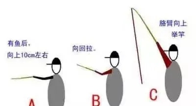 神角技巧攻略：轻松半自动钓鱼，钓鱼达人必备！